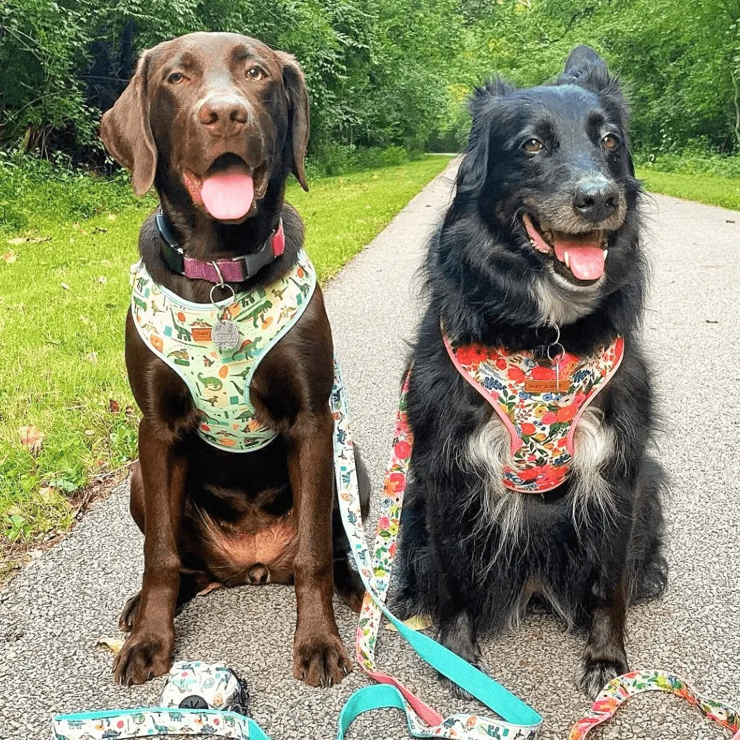 Dinosaur Unbreakable Leash™   Poop Bag Set